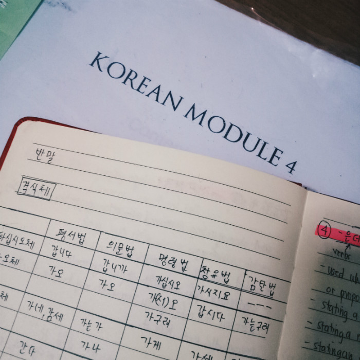 Korea.net Honorary Reporter Diana Almarez introduces her way of studying Korean. (Diana Almarez)